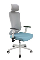Кресло офисное Riva Chair RCH AW2101
