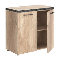 Шкаф низкий для документов TORR TLC 85.1 Шкаф низкий для документов TORR TLC 85.1