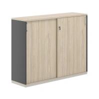 Шкаф - купе средний Allegro AG.245