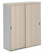 Шкаф-купе Flash FLS404