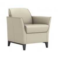 Мягкое кресло с подлокотниками Камино М-26/1 Oregon Мягкое кресло с подлокотниками Камино М-26/1 Oregon