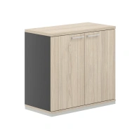 Шкаф низкий для документов Allegro AG.204