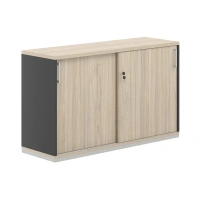 Шкаф - купе низкий Allegro AG.241 