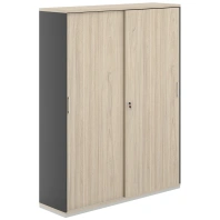 Шкаф - купе высокий Allegro AG.247
