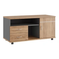 Тумба подкатная Tess TES381200