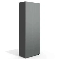 Шкаф для одежды Art.Neo II NEO-49 Антрацит Шкаф для одежды Art.Neo II NEO-49 Антрацит