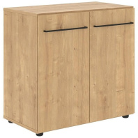 Шкаф для документов низкий LOFTIS LLC 80.1