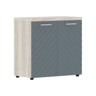 Шкаф низкий Torr Lux TLLC 85.1 Шкаф низкий Torr Lux TLLC 85.1