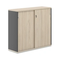 Шкаф - купе средний Allegro AG.244