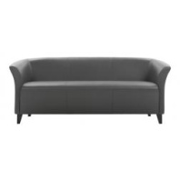 Диван 3-х местный Модус С-23