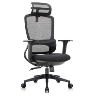 Кресло Riva Skill RCH 6245AX сетка черная Кресло Riva Skill RCH 6245AX сетка черная