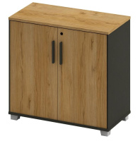 Шкаф Lido DG3A-2.040064 Светлый орех (S-83)/Антрацит (S-59)