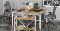 тиквуд светлый Loft