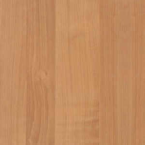 Ольха Ольха